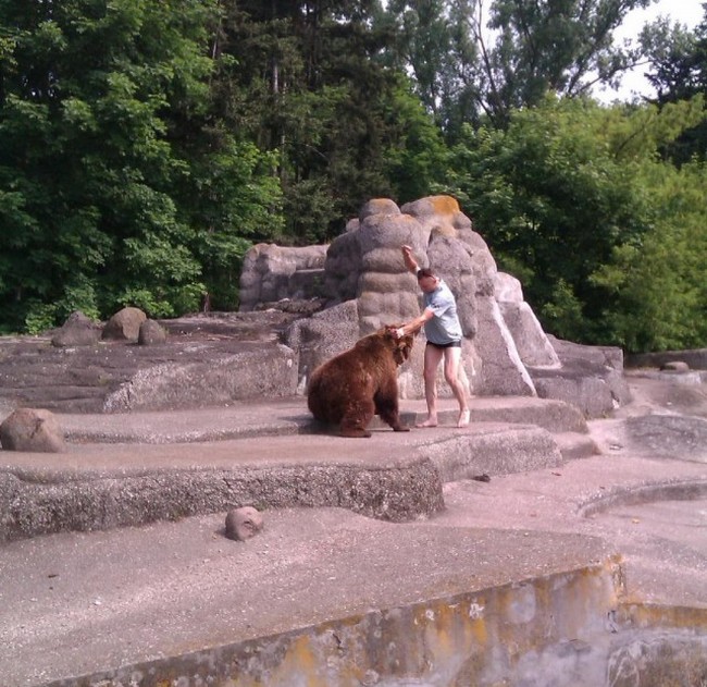 В Варшаве пьяный «мужчина» избил медведицу