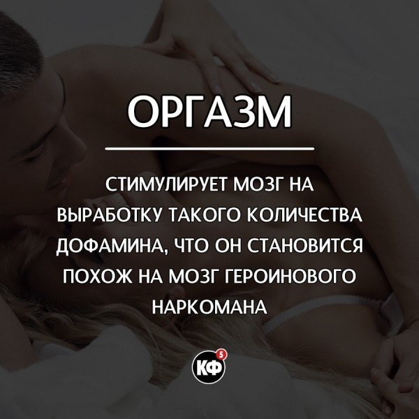 Краткие факты