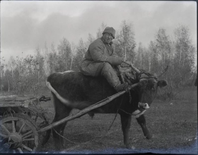 Как жила обычная Россия в начале XX века