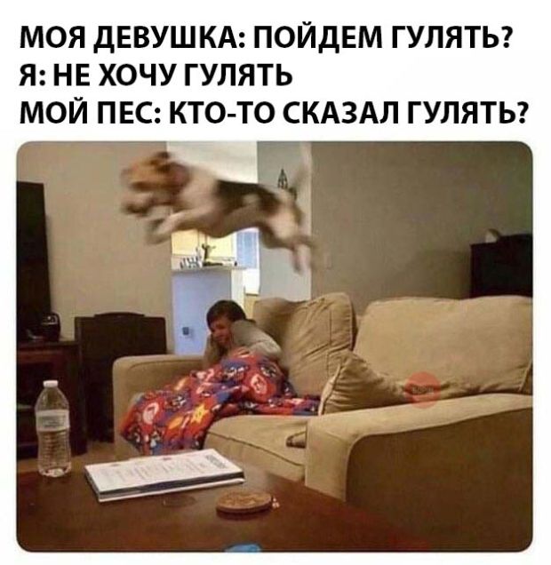 Прикольчики