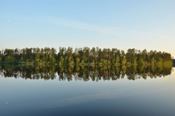 Вечером в тайге