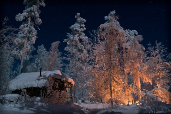 Вечером в тайге