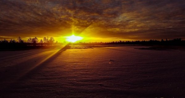 Вечером в тайге