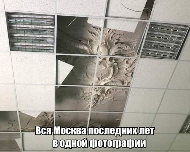 Прикольчики