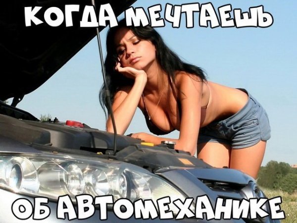 Автоприколы