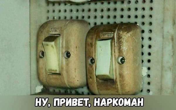 Опять обдолбался, паршивец!?