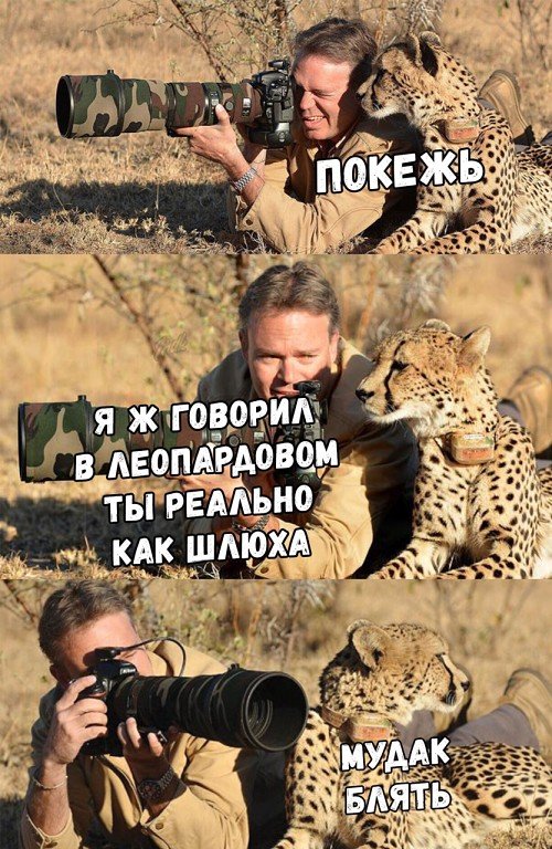 Опять обдолбался, паршивец!?