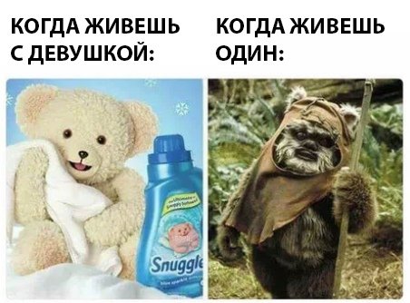 Немного картинок