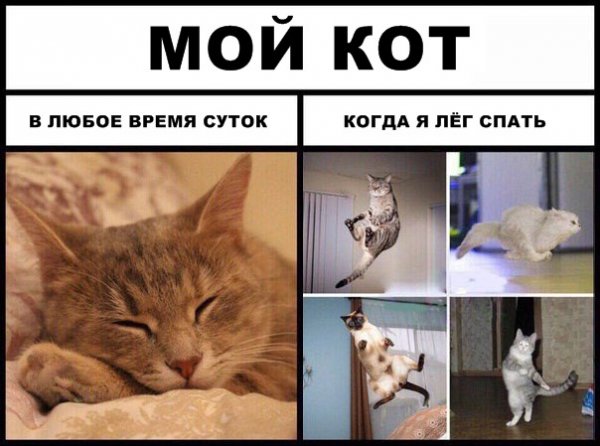 Немного картинок