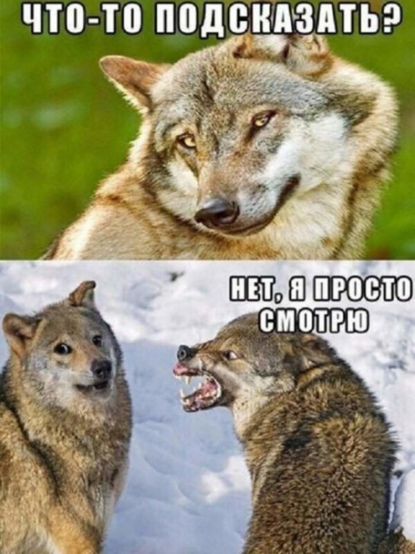 Немного картинок