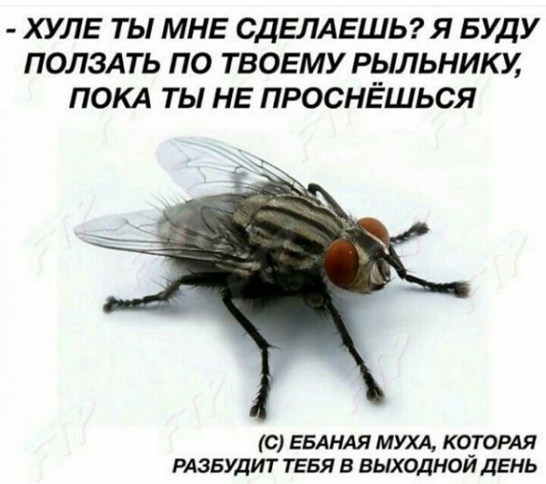 Специфический юмор