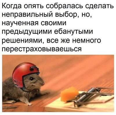 Специфический юмор