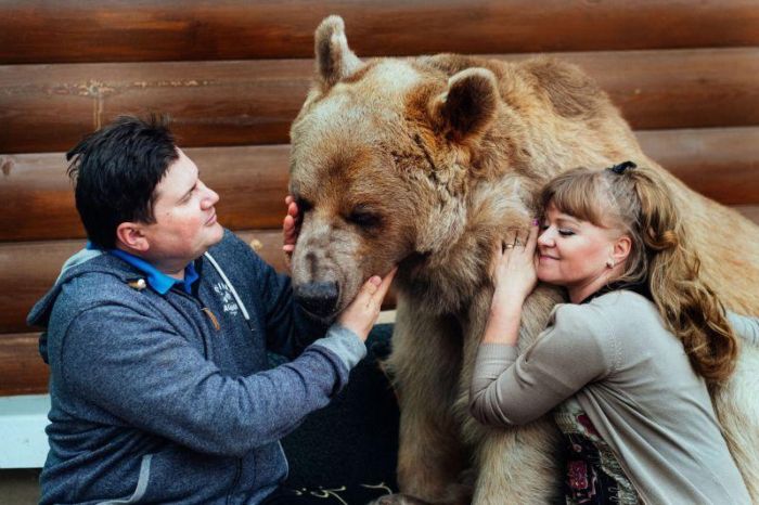 Медведь Степан, который уже 20 лет живет в семье дрессировщиков