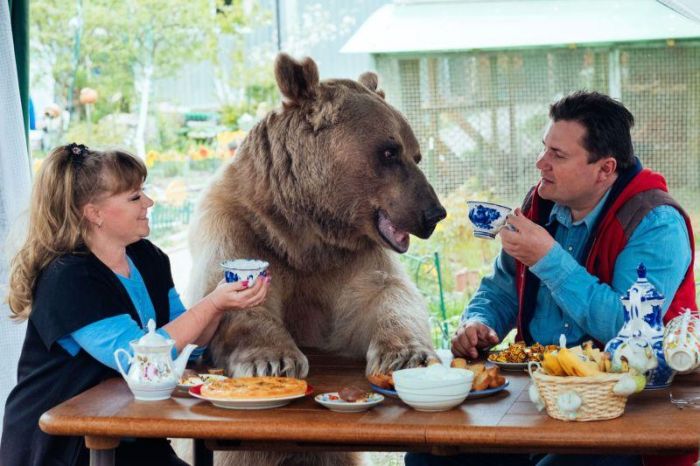 Медведь Степан, который уже 20 лет живет в семье дрессировщиков