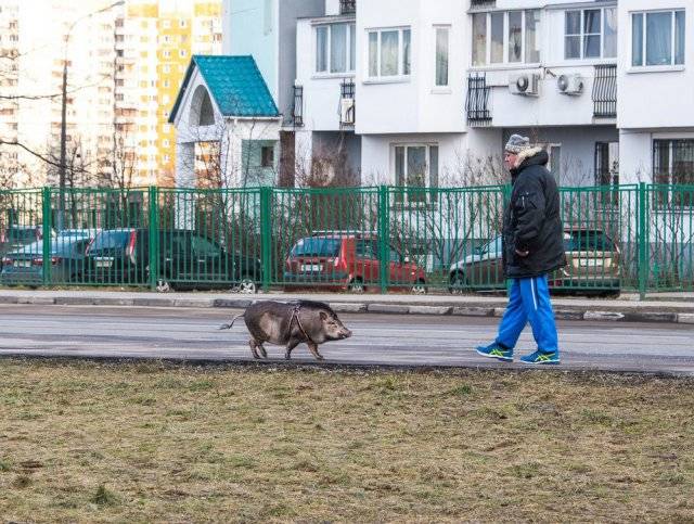 Странности и юмор с российских просторов