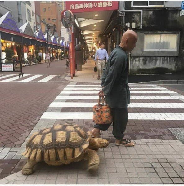 Фотографии, которые можно было сделать только в Азии