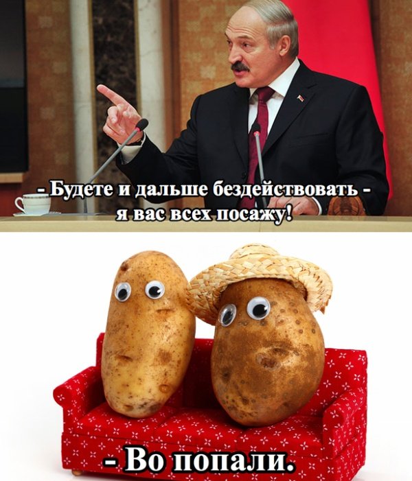 Смешные картинки