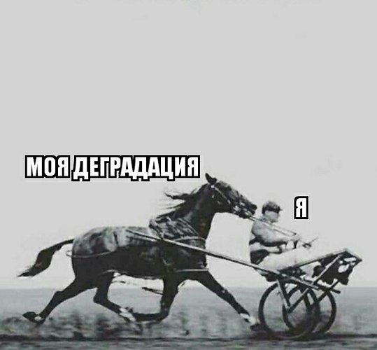 Вечерний неадекват