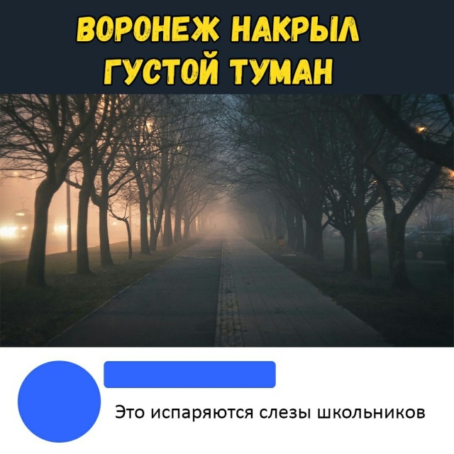 Прикольчики