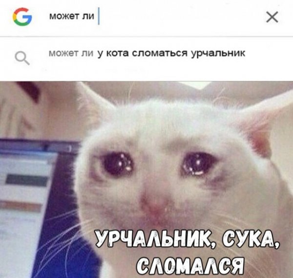 Не очень адекватный юмор