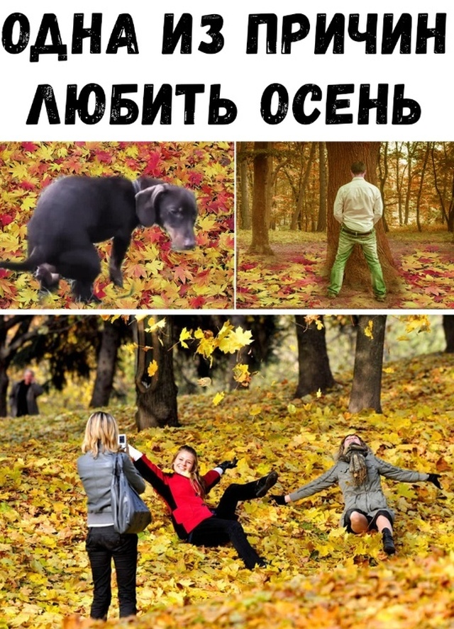 Прикольчики