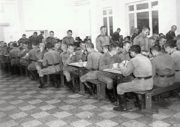 Зачем солдатам Советской армии добавляли в еду бром: откуда пошли подобные домыслы