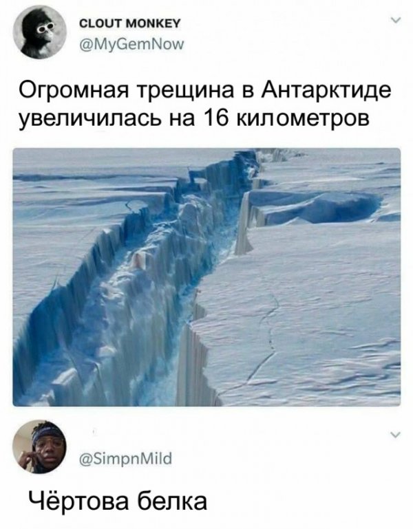 Немного картинок