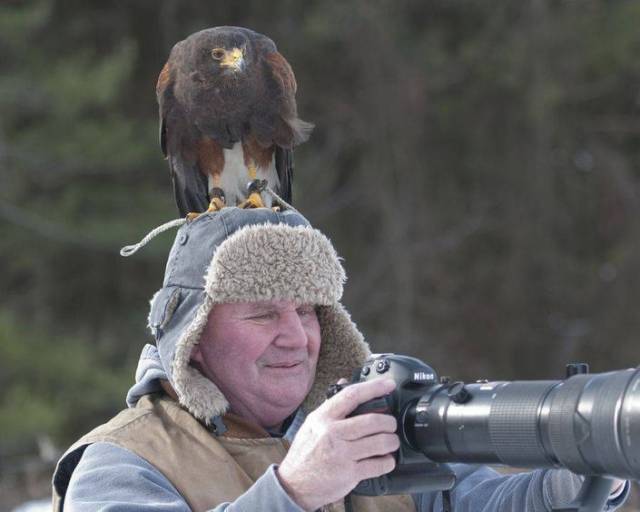 Фотографии вместо тысячи слов