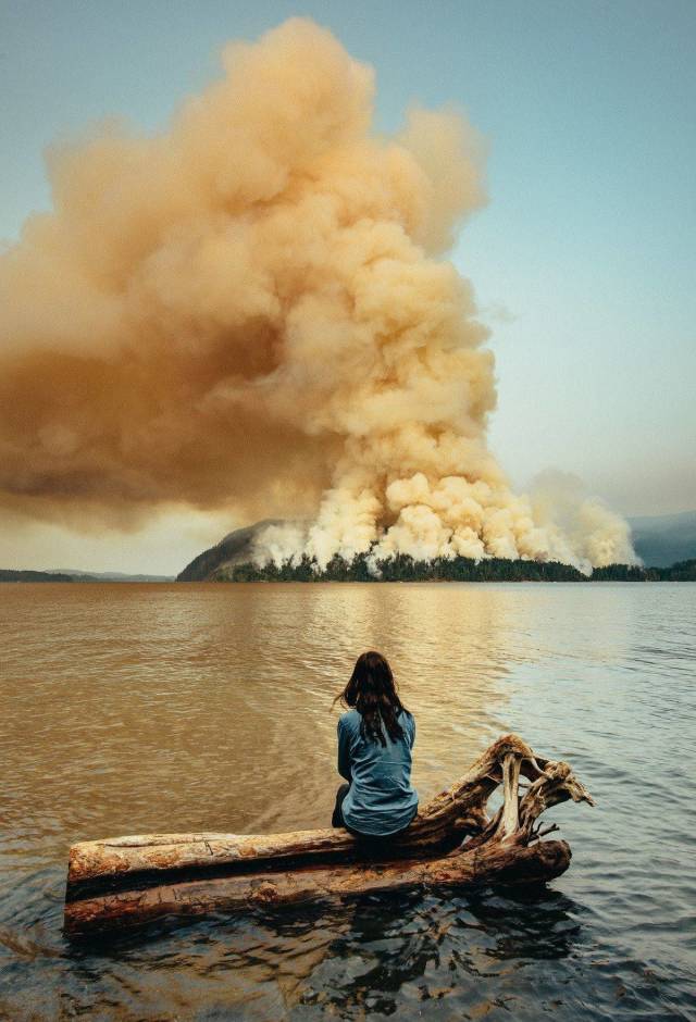 Фотографии вместо тысячи слов