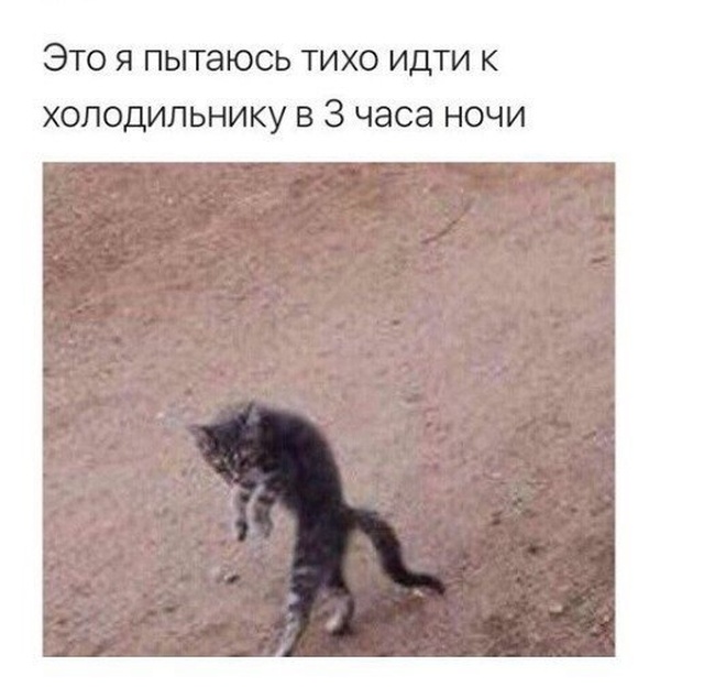 Прикольчики