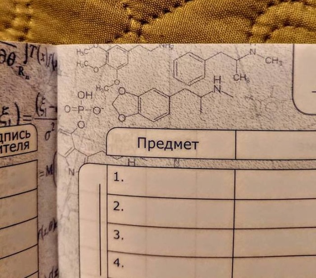 В школьных дневниках обнаружили формулы наркотиков