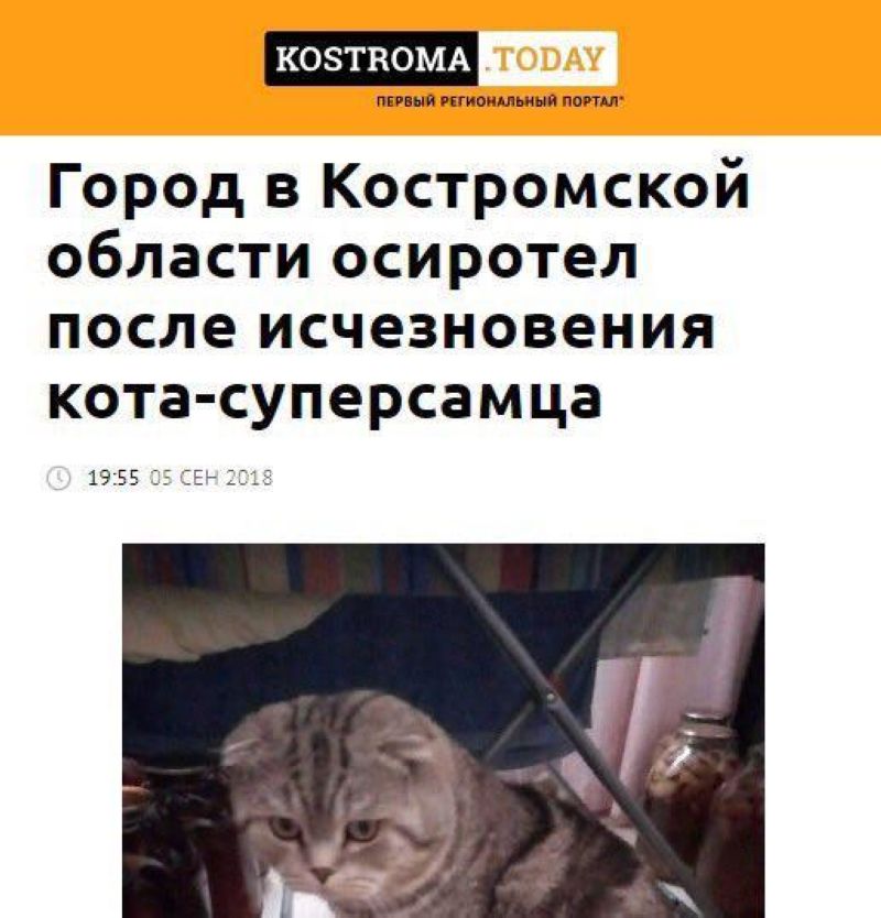 Новости, которые мы заслужили