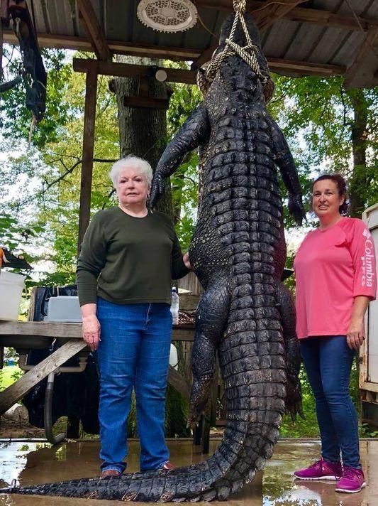 Пенсионерка с одного выстрела убила крокодила, утащившего ее любимую лошадь