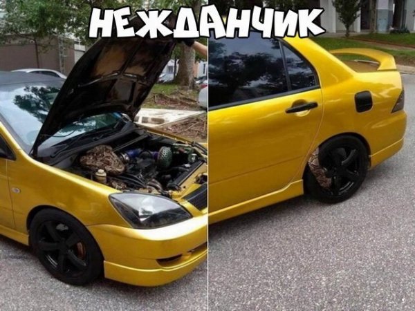 Автоприколы