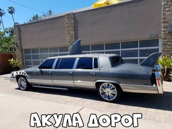 Автоприколы