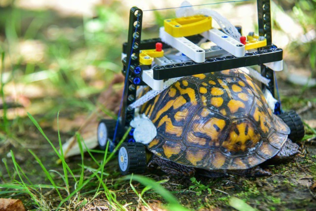 "Инвалидная коляска" для черепахи из конструктора LEGO