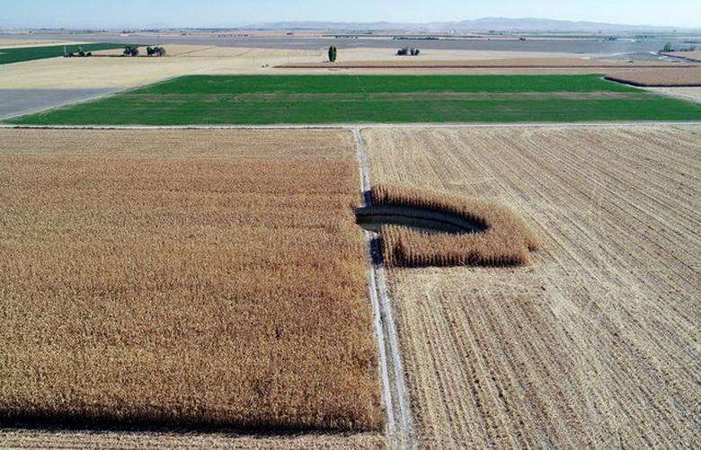 В Турции на кукурузном поле случился провал