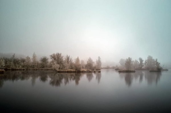 Инфракрасная фотография: когда обычные пейзажи превращаются в инопланетные