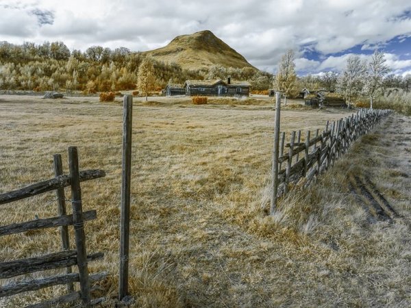 Инфракрасная фотография: когда обычные пейзажи превращаются в инопланетные