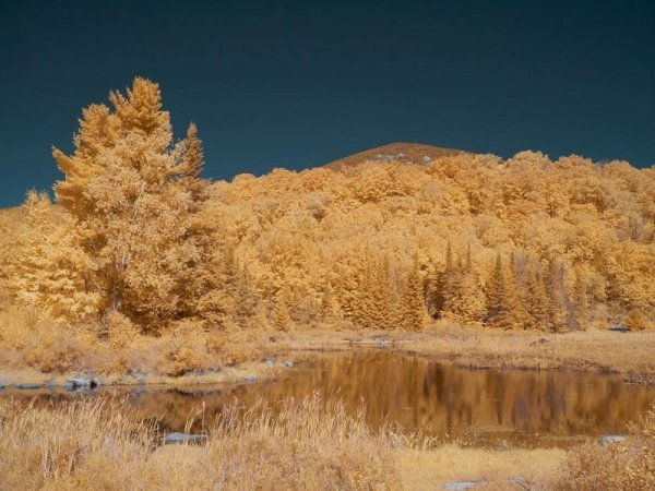 Инфракрасная фотография: когда обычные пейзажи превращаются в инопланетные