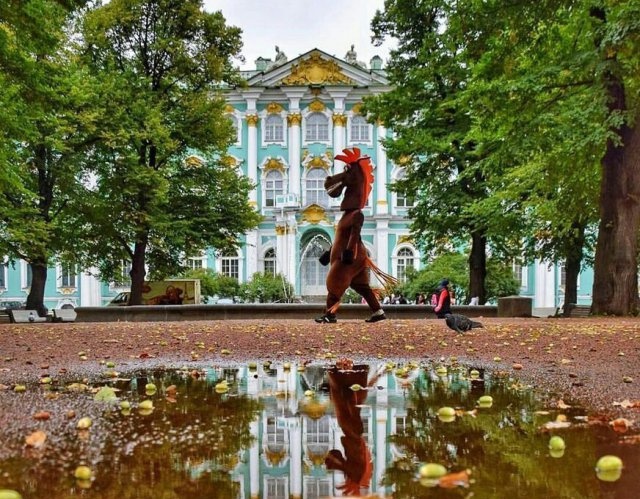 Типичный Санкт-Петербург