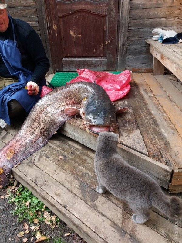 Разные картинки и приколы