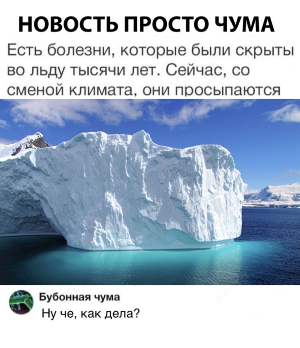 Немного прикольных картинок