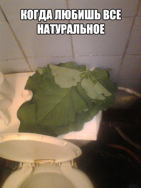 Немного картинок