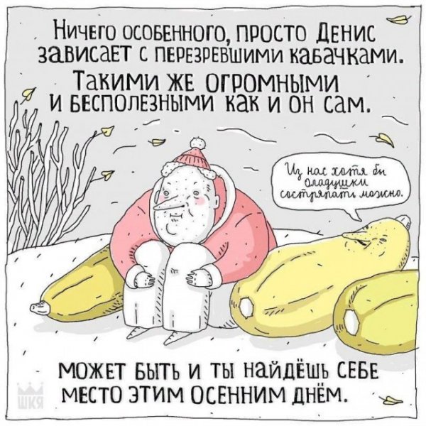 Немного картинок