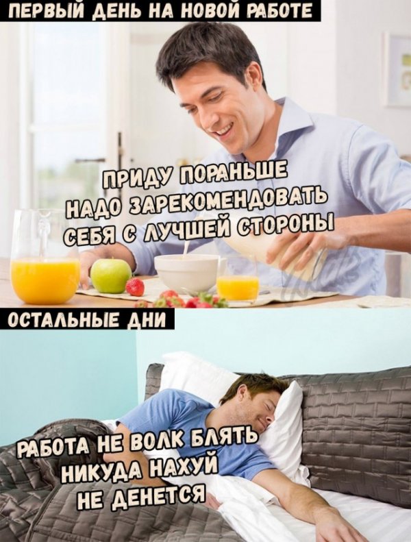 Немного картинок