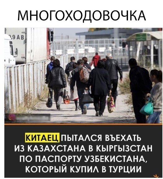 Немного картинок