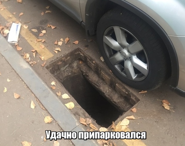 Немного картинок