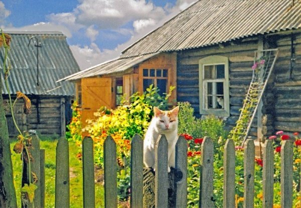 Сельский позитив