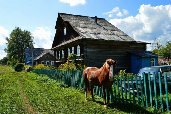 Сельский позитив